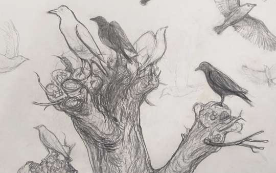 poelboerderij expositie tekeningen 2025