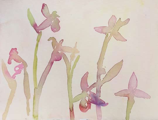 hak-expositie-den-haag-2025